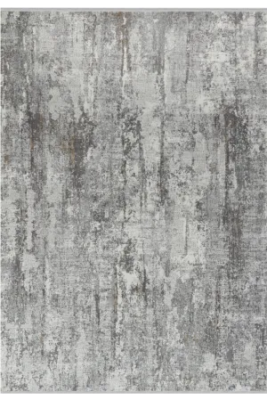Aura Gray Bamboo Woven Modern Living Room Rug 2811