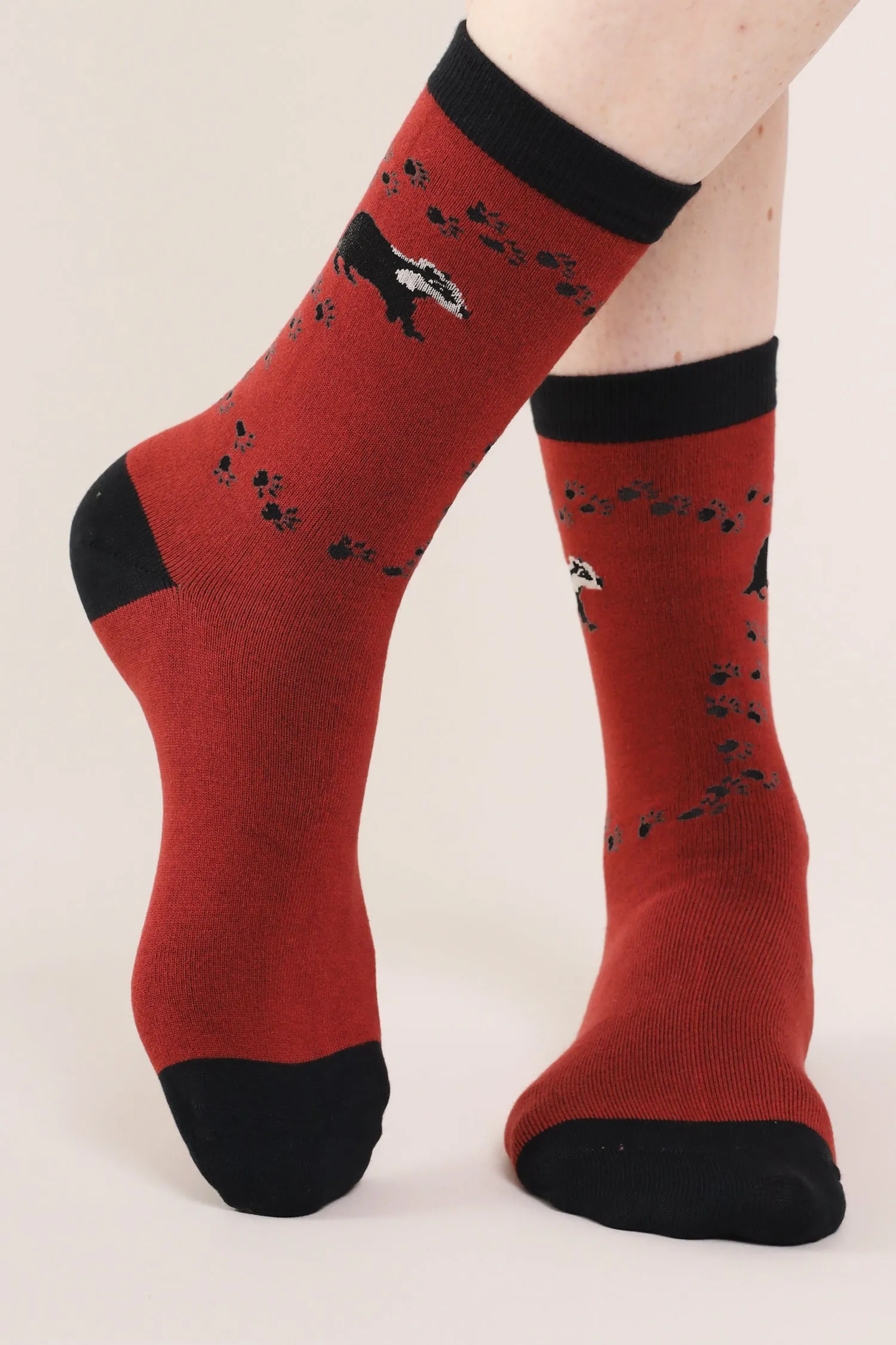 Bamboo Badger Socks in Brick by Nomads, Size 7-11