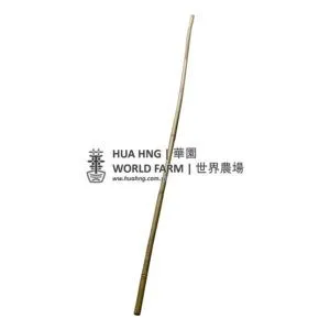 Bamboo Stick (3mL, 25 – 35mmØ)