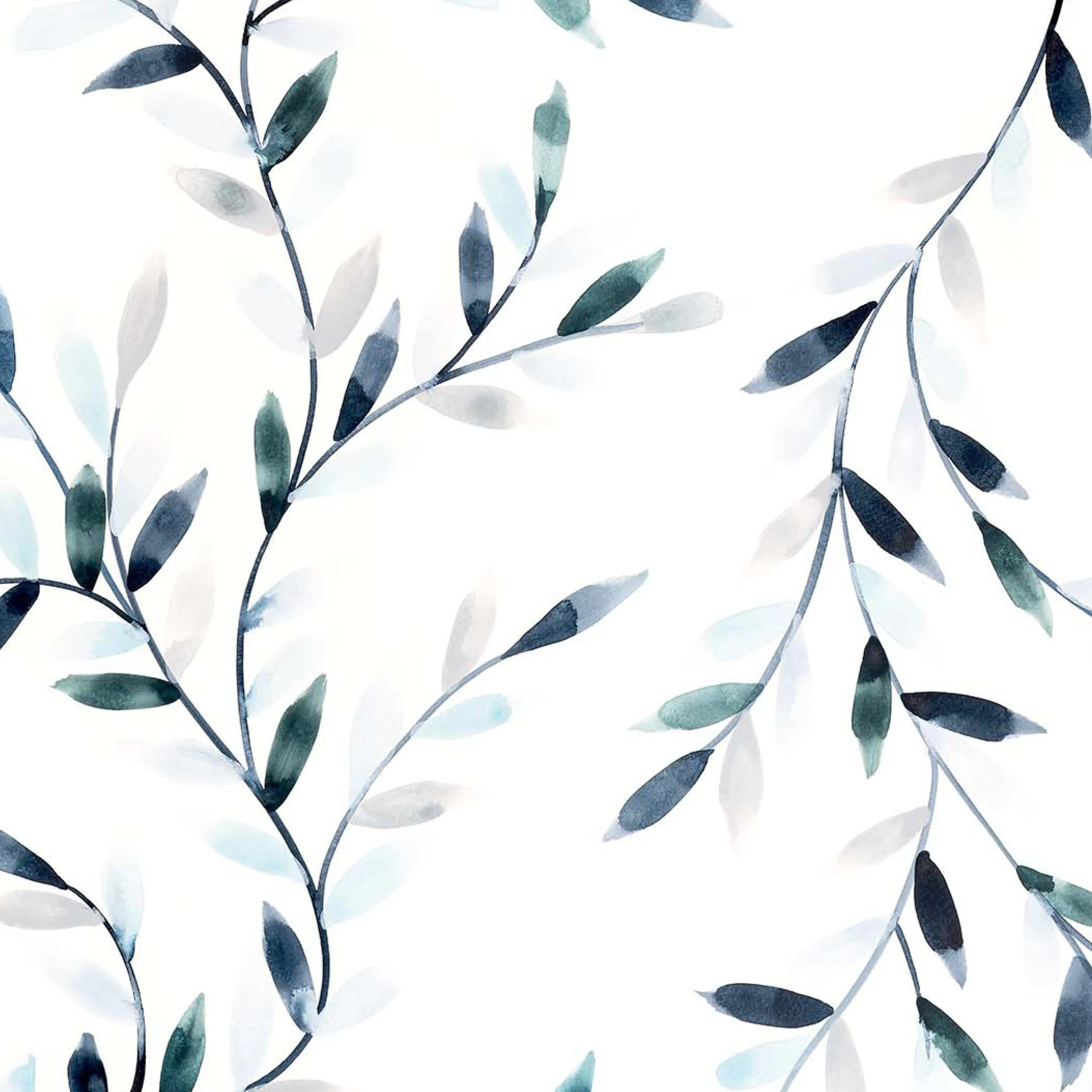 Beth-Sky Oyster 0021