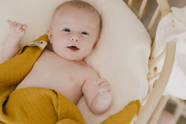 BIBS Cuddle Cloth Muslin