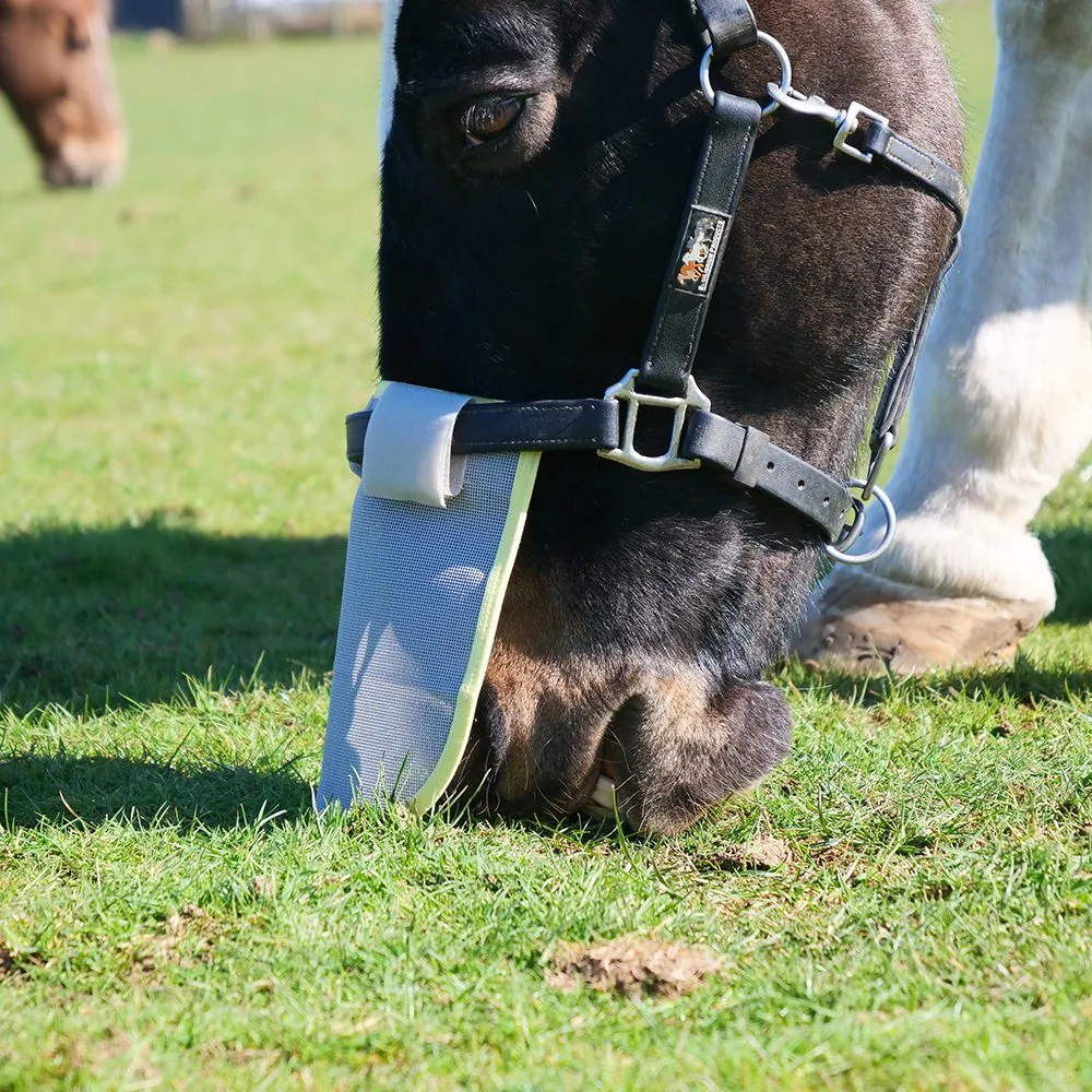 Equilibrium Field Relief Muzzle Protector