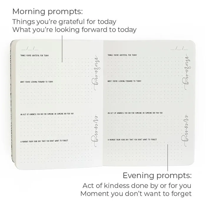 Guided Journal