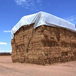 Hay Tarp Cover with Hand Straps 16 mil Blue/White Extra Heavy Duty Poly