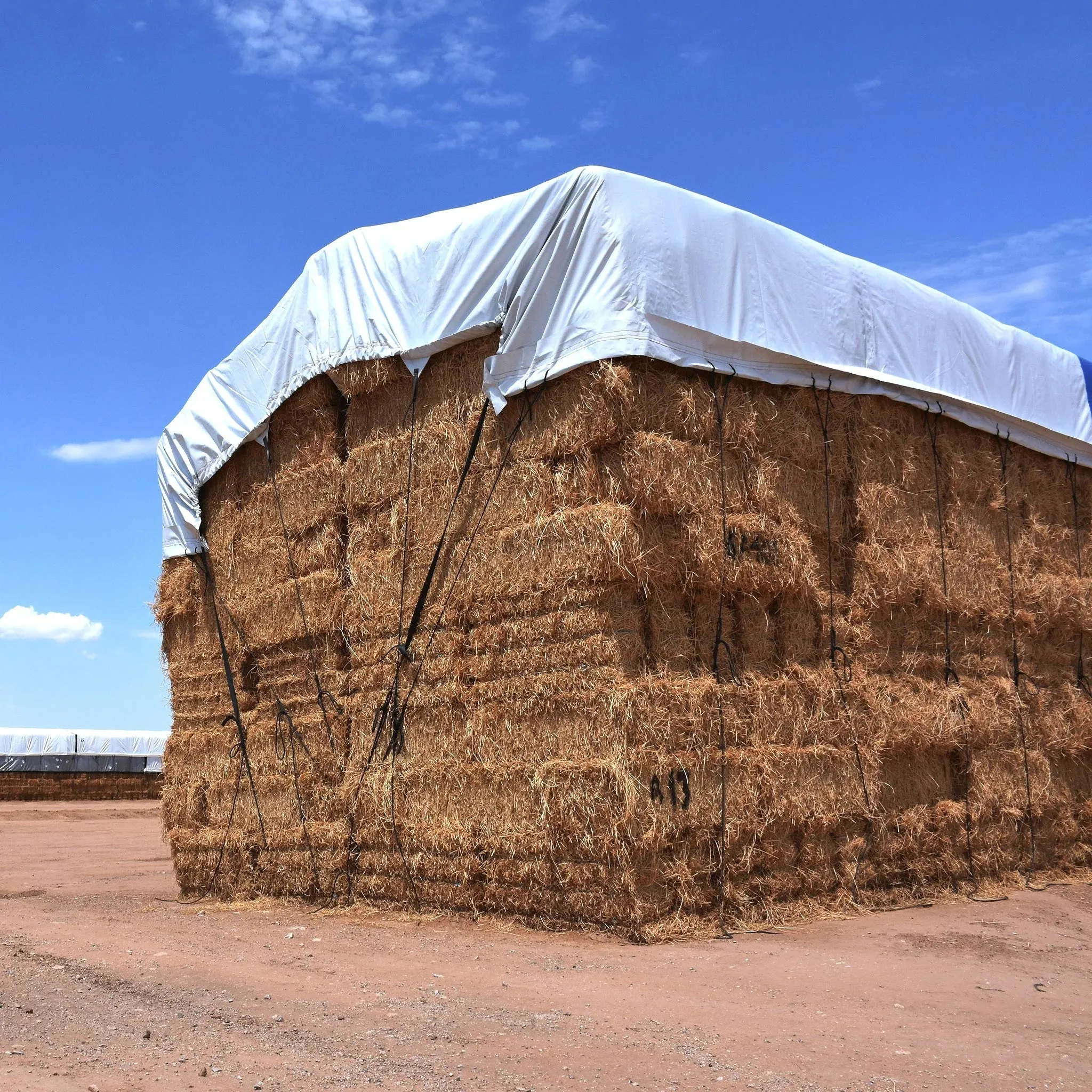 Hay Tarp Cover with Hand Straps 16 mil Blue/White Extra Heavy Duty Poly