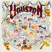 Houston Dish Towel