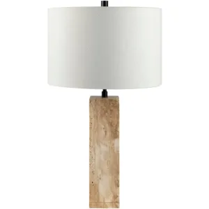 Industrial Rustic Luminaire