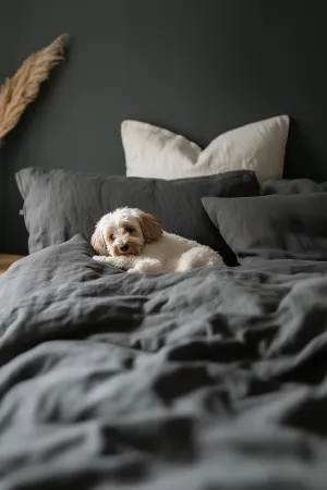 Kids Duvet Cover Set - Dark Gray
