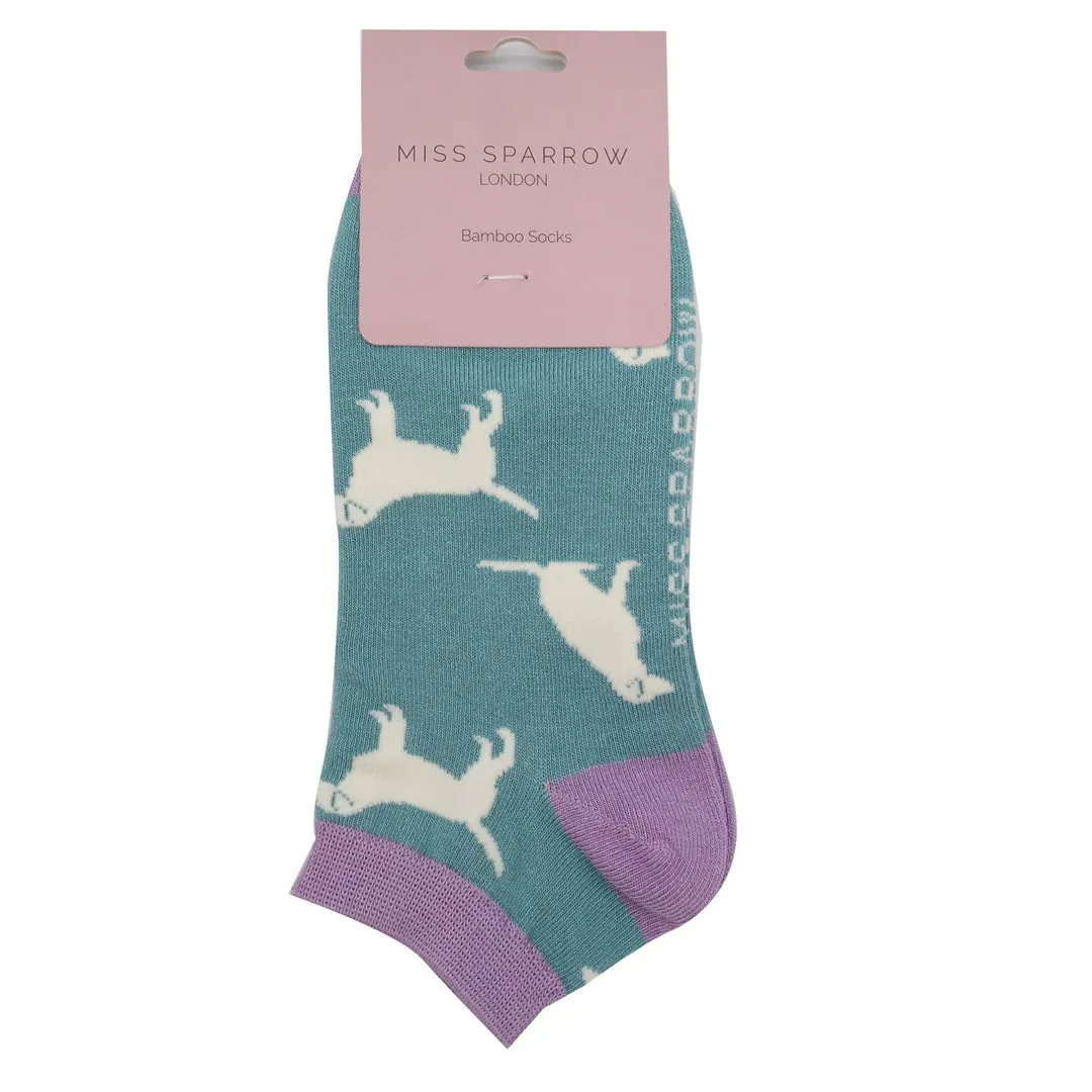 Labradors Bamboo Trainer Socks in Blue by Miss Sparrow, Size UK 4-7
