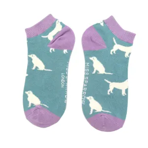 Labradors Bamboo Trainer Socks in Blue by Miss Sparrow, Size UK 4-7