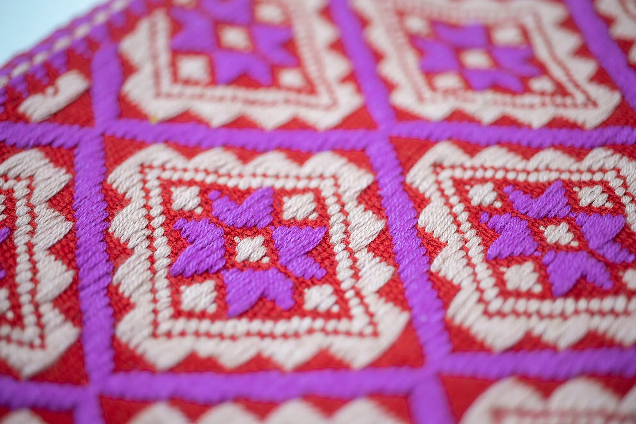 Larrainzar Pouch
