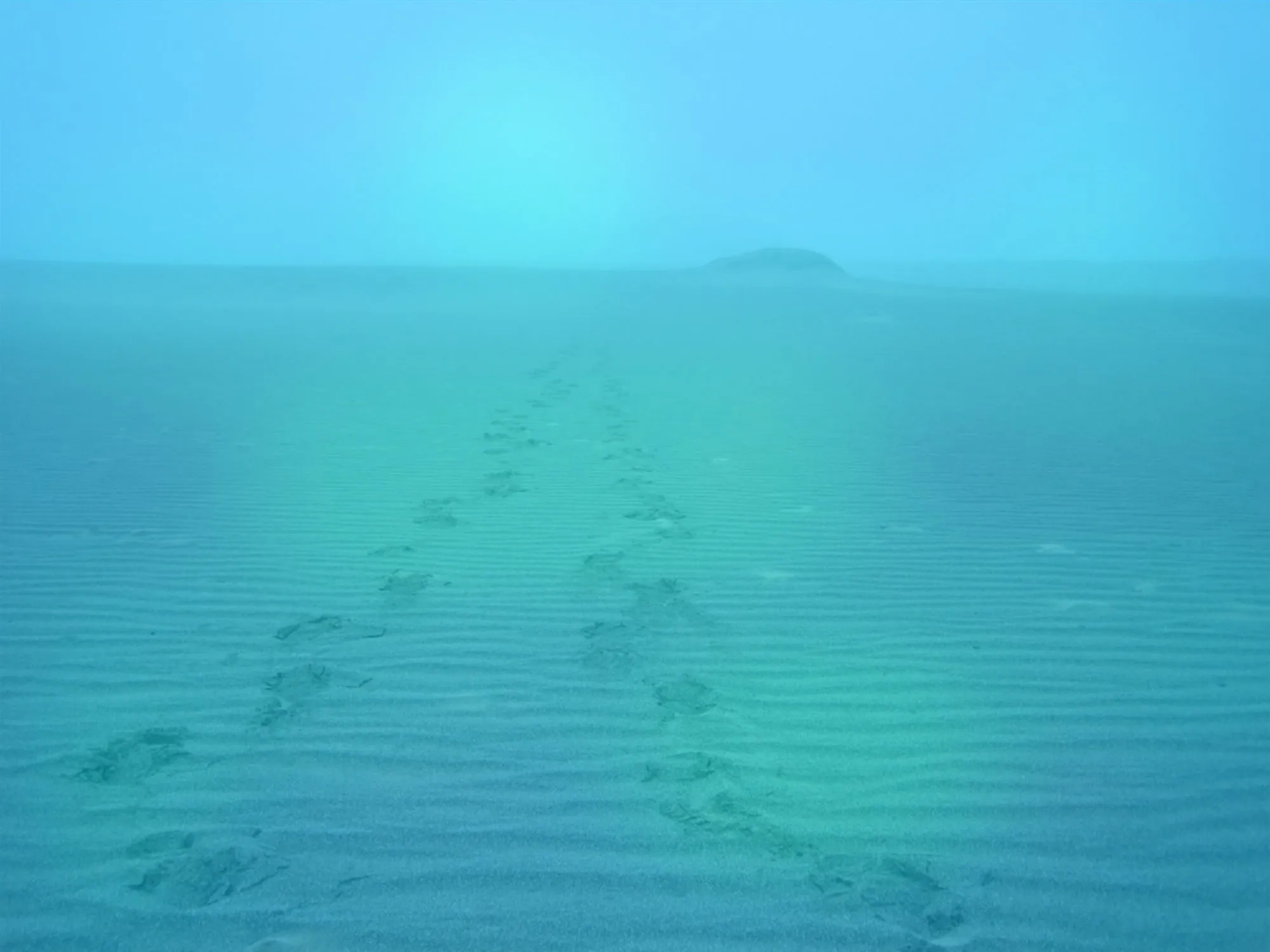 Paths Features Trails