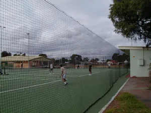 Putterman Court Divider Net
