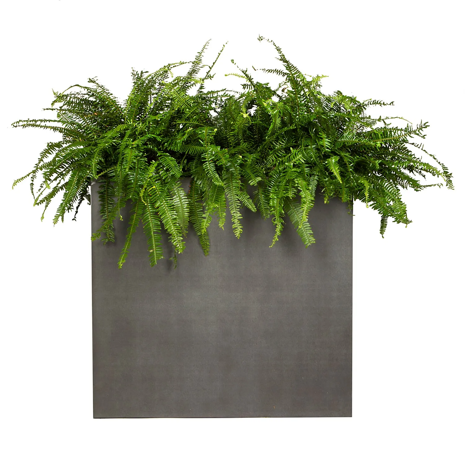 Room divider planter