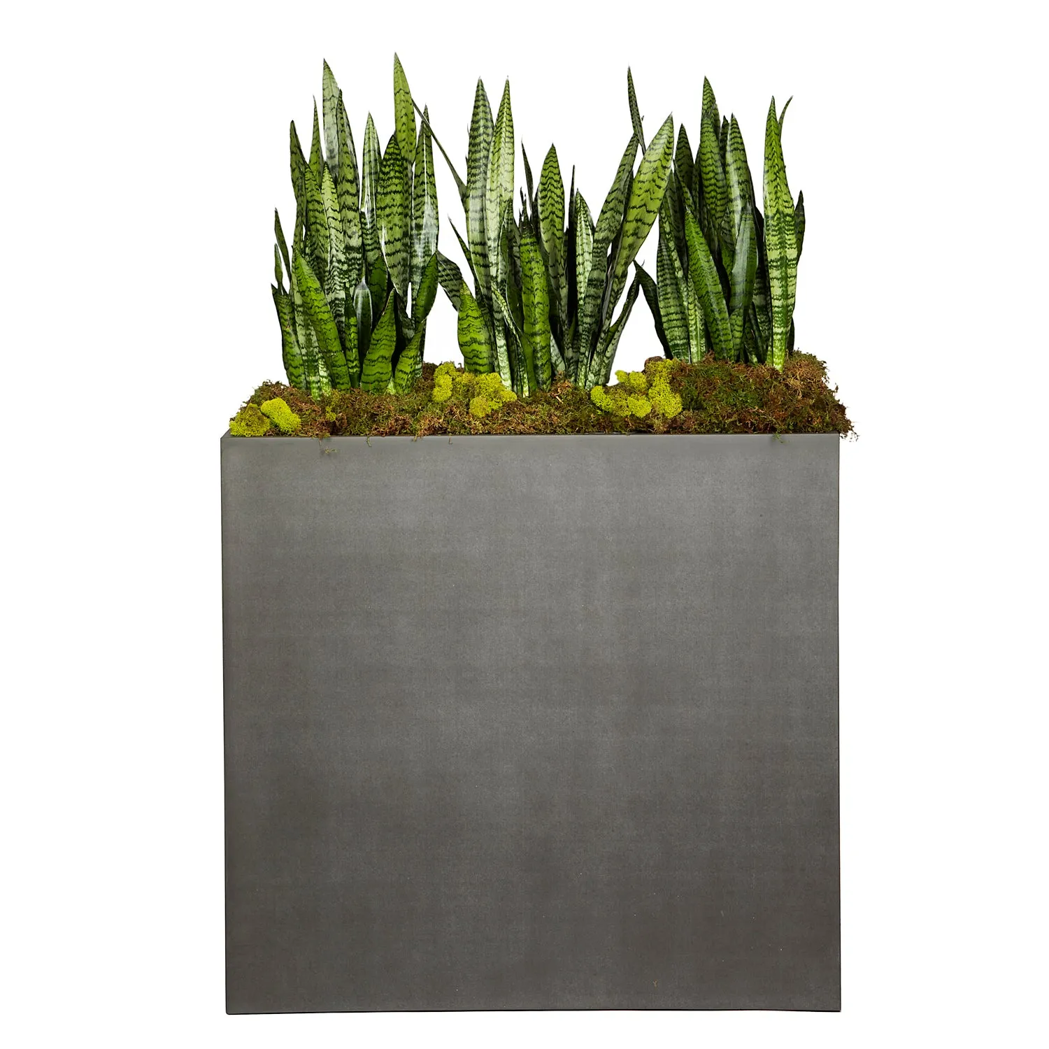 Room divider planter