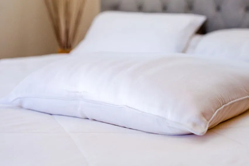 Silk Pillow