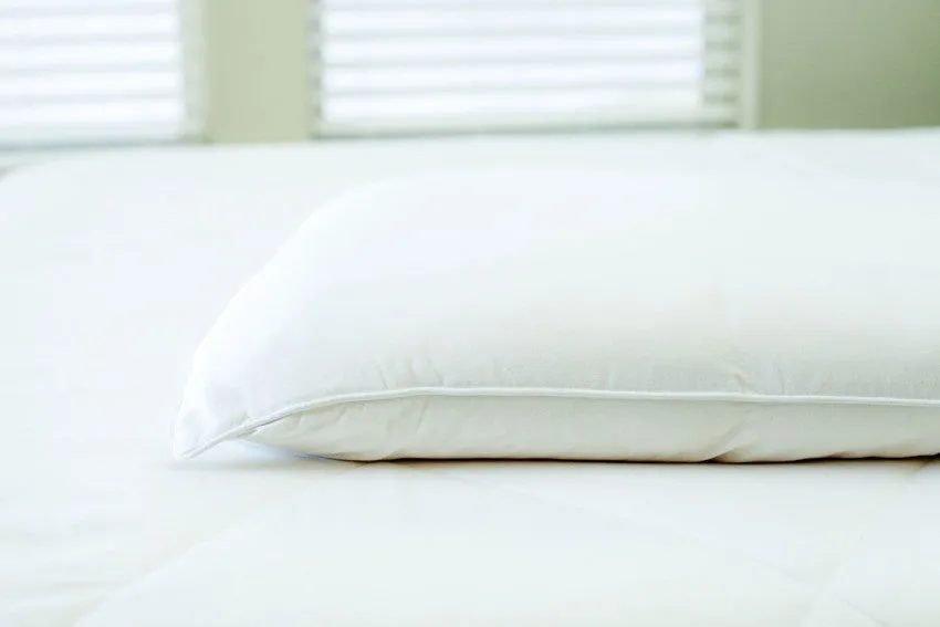 Silk Pillow