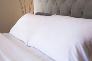 Silk Pillow