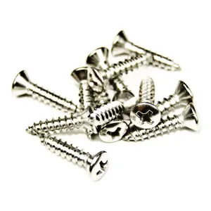 Stainless Oval Head Phillips Screw For Cabinet Corners, Mojotone, Pack of 12