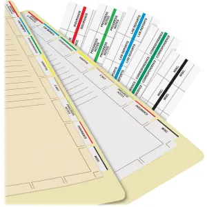 Tabbies Medical Chart Index Divider Sheets