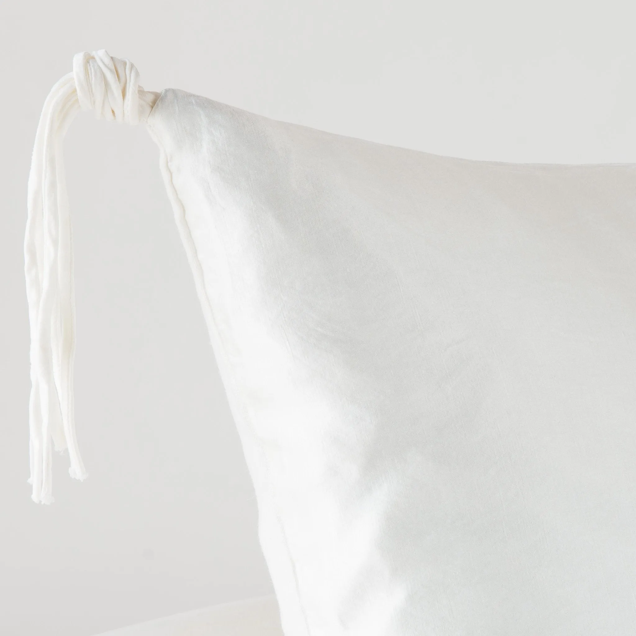 Taline Accent Pillow