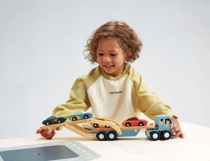 Tender Leaf Toys Car Transporter