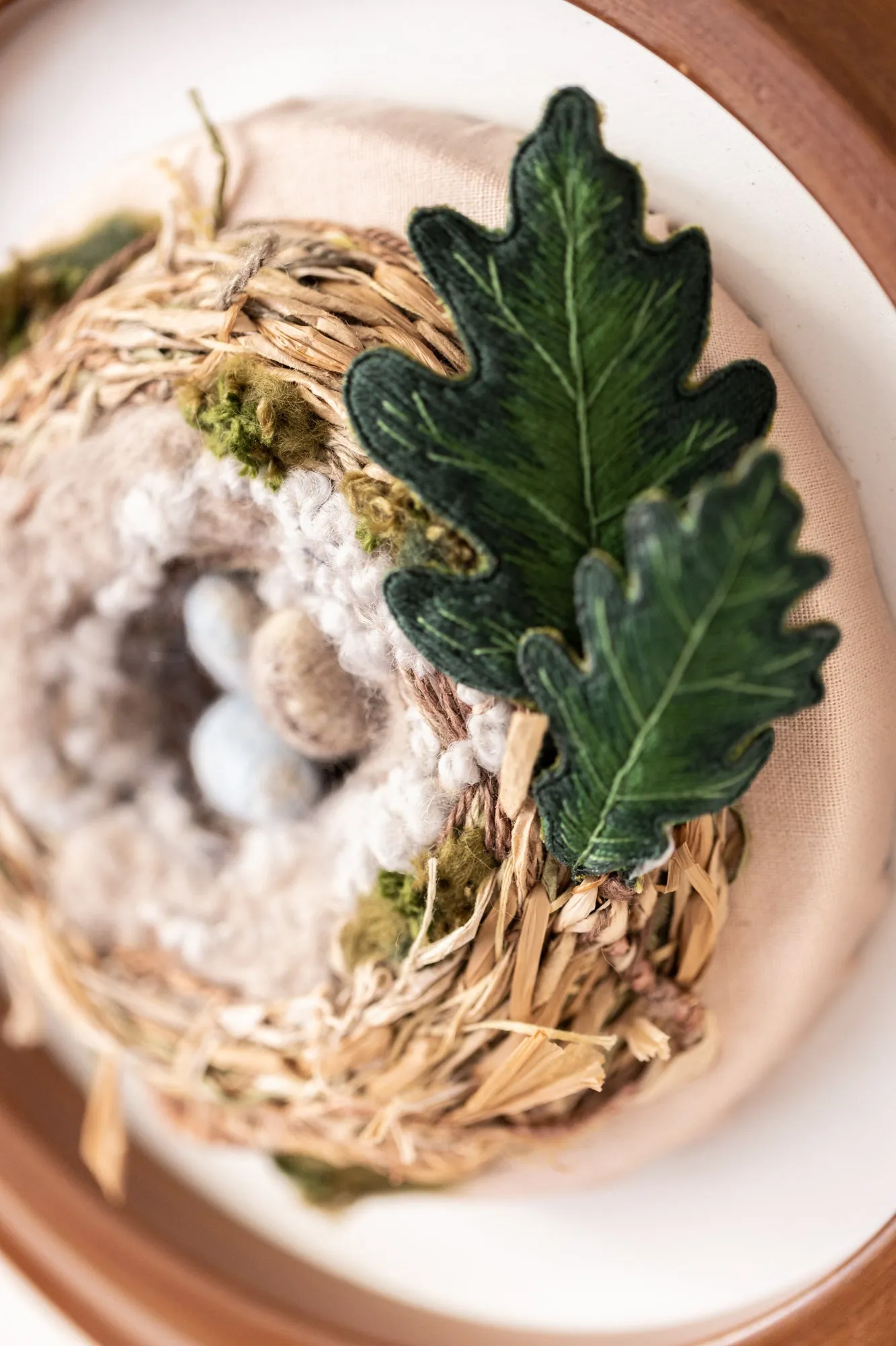 The Cowbird's Egg (in the House Finch's Nest)