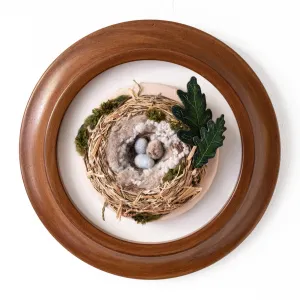 The Cowbird's Egg (in the House Finch's Nest)