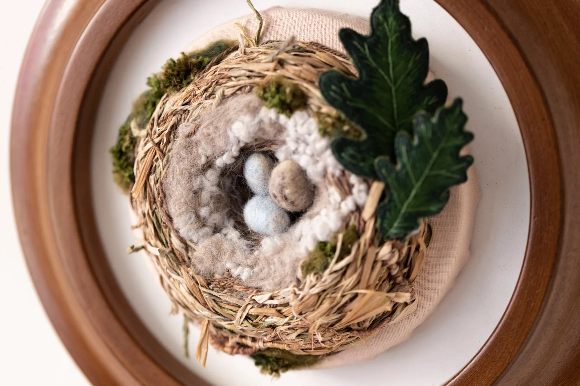 The Cowbird's Egg (in the House Finch's Nest)