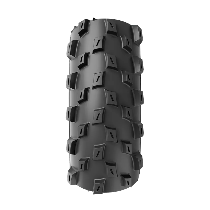 Vittoria 29" e-Barzo